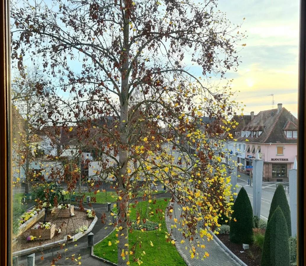 Auberge Syra/ Proche Europa Park 마르콜샤임 외부 사진